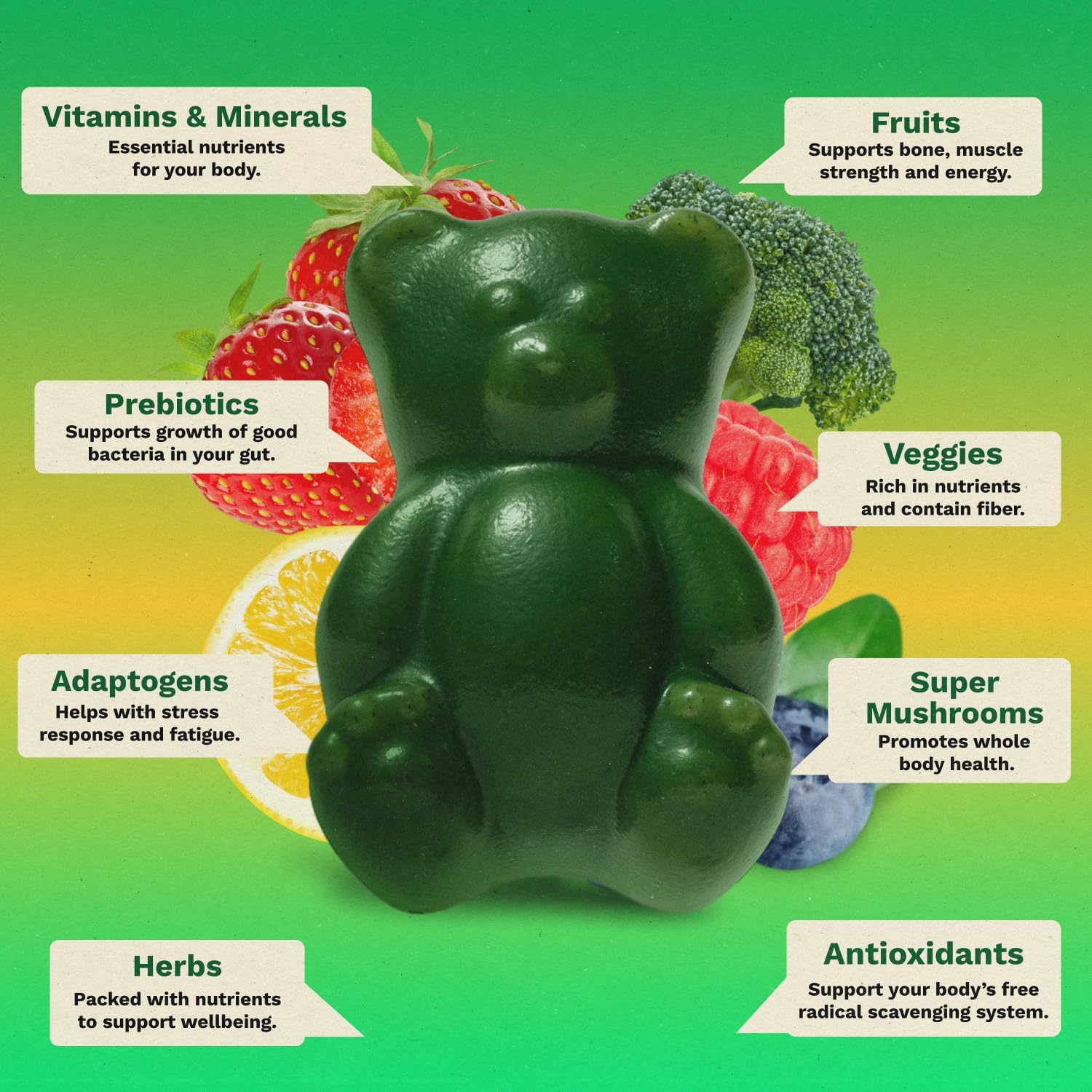 Gruns Adult Super Greens Multivitamin Gummies, Superfood Gummy Vitamins for Women and Men with Spirulina, Chlorella, Adaptogens & Prebiotic Fiber for Digestive Health (28 Count) - Image 6