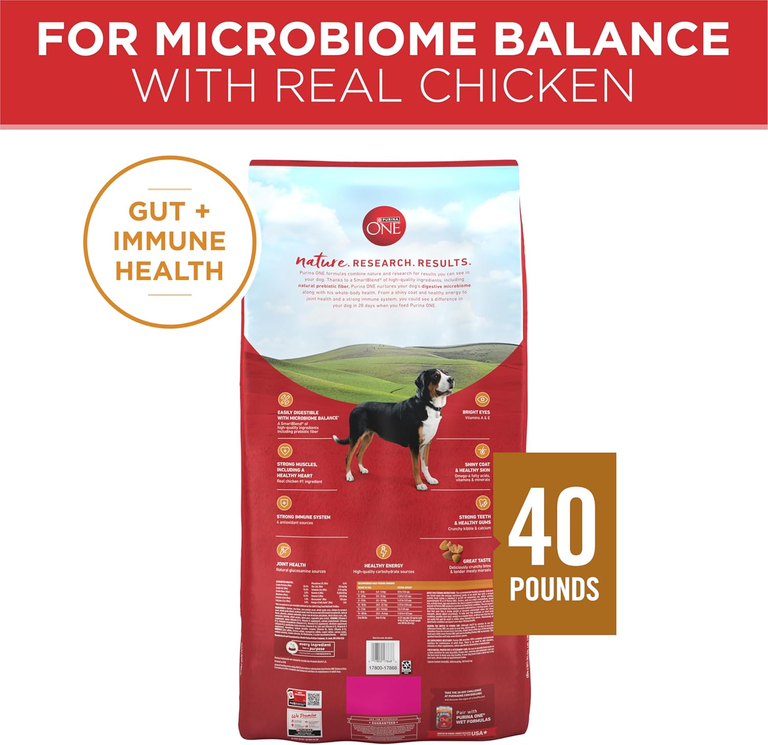 Purina ONE Chicken and Rice Formula Dry Dog Food - 40 lb. Bag - Image 9