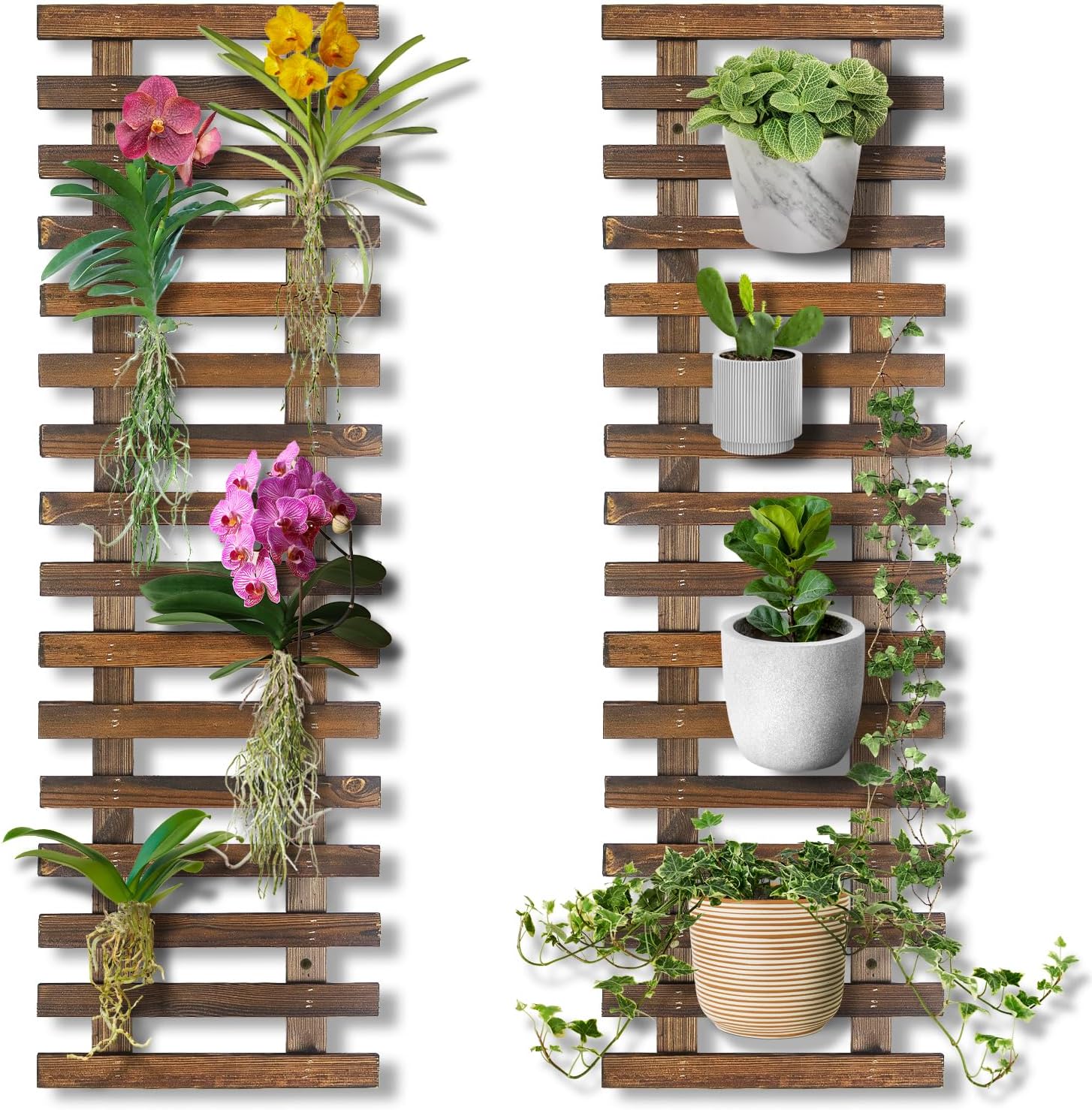 Mulctun 2 Pcs Wall Planters - 11.4"W x 35.43"H Wooden Wall Planters for Indoor Outdoor Plants,Hanging Wood Wall Trellis,Wall Mounted Plant Holder for Orchids,Succulent,Air Plants,Hanging Pots Display - Image 2