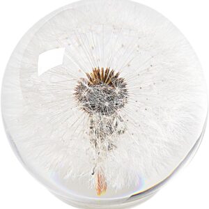 Dandelion Paperweight – Real Dandelion in Crystal Glass Ball, Unique Gift & Home Office Decor, Symbol of Luck, Hope, and Wishes for Birthday, Graduation, Wedding Dandelion Paperweight – Real Dandelion in Crystal Glass Ball, Unique Gift & Home Office Decor, Symbol of Luck, Hope, and Wishes for Birthday, Graduation, Wedding