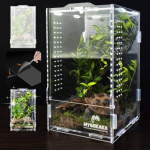 Acrylic Jumping Spider Habitat, Insect Terrarium, Bug Enclosure, Praying Mantis Habitat, Frog Enclosure Acrylic Jumping Spider Habitat, Insect Terrarium, Bug Enclosure, Praying Mantis Habitat, Frog Enclosure