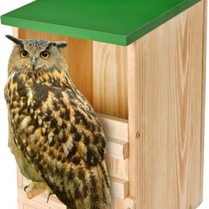 Owl House Owl Box with Bird Stand Design, Owl Nesting Box, Barn, Screech Houses Cedar with Shavings for Outside Wildlife Lovers,Cozy House for Lovely Birds – Easy Assembly Required Owl House Owl Box with Bird Stand Design, Owl Nesting Box, Barn, Screech Houses Cedar with Shavings for Outside Wildlife Lovers,Cozy House for Lovely Birds – Easy Assembly Required