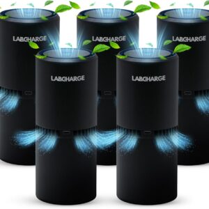 LabCharge Small Ionic Air Purifier for Home & Bedroom – Silent HEPA Filter – Covers 250 Sq Ft – For Pet Hair, Smoke, Dust, Odors & Dander – Compact Black Design – Pack of 5 LabCharge Small Ionic Air Purifier for Home & Bedroom – Silent HEPA Filter – Covers 250 Sq Ft – For Pet Hair, Smoke, Dust, Odors & Dander – Compact Black Design – Pack of 5